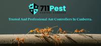 711 Ant Control Canberra image 10